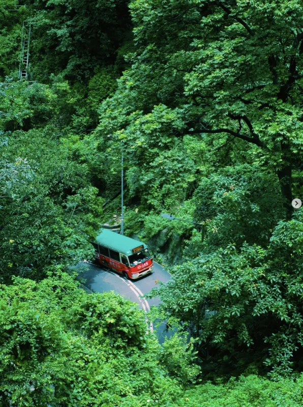 Travel